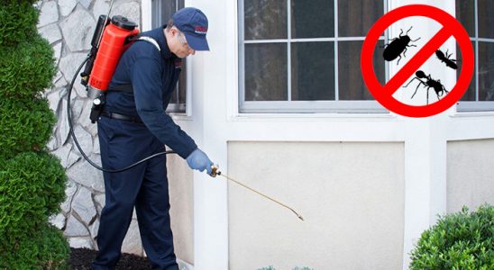 Bağlar Bit İlaçlama böcek ilaçlama ve haşere kontrolü — ilaclama-tr.com